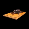 Karakuri-Box : Kabuto - Vue en diagonale du scarabée rhinoceros - Créateur : Taisho Iwasaki