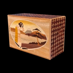 Himitsu-Bako : 5 Sun 21 Steps Maiko au Mont Fuji & Inu - Vue en diagonale du motif de la Maiko