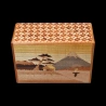 Himitsu-Bako : 4 Sun 7 Steps Rêverie au Mt Fuji - Vue aérienne de la face principale (Mt Fuji, voilier, lac, maison)